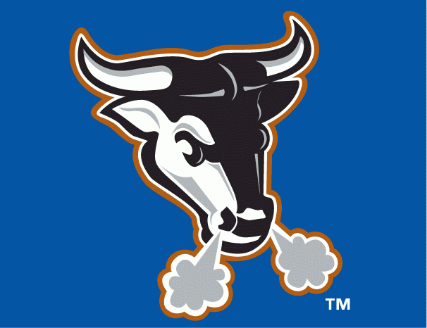 Durham Bulls 2000-2012 Cap Logo iron on heat transfer